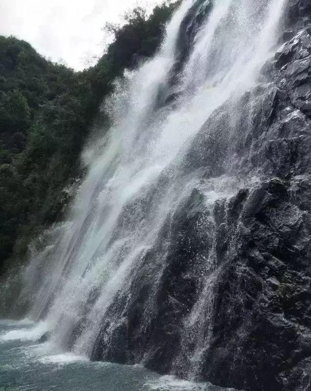 冰火人魔法森林大冒险